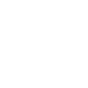 Mario Lemieux Foundation